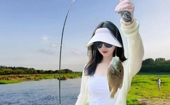 果冻传媒国产大豆艾秋信息网